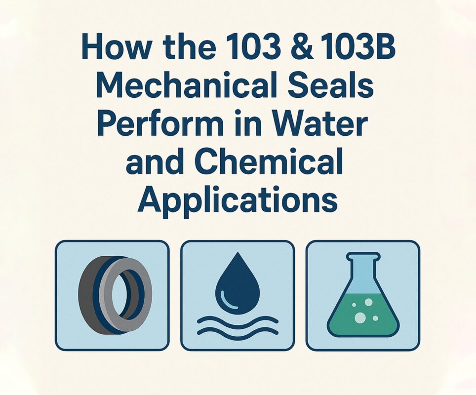 Double Mechanical Seals