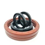 1.2Mpa Rubber Oil Seal