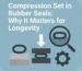 Gasket Rubber Seals
