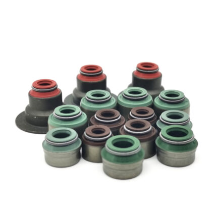 Oil Seal Manufacturer