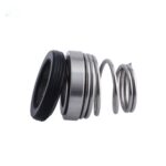 Bergman Mechanical Seal