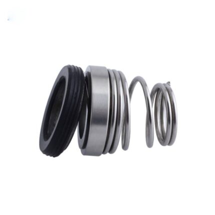 Bergman Mechanical Seal