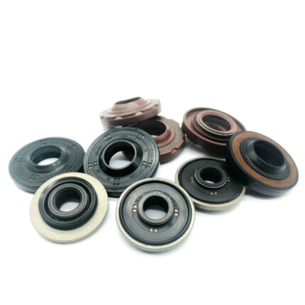 Different Type Oil Seals
