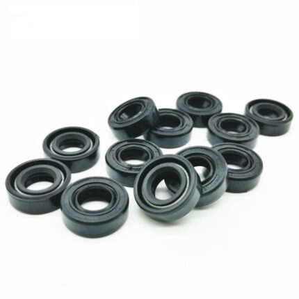 Double Lip Oil Seals