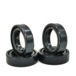 Double Lips Spring Oil Seal
