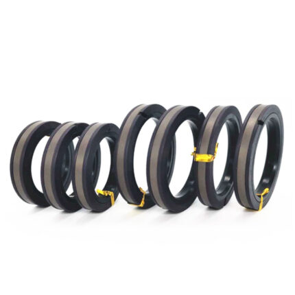 Rod Piston Seal Glyd Ring