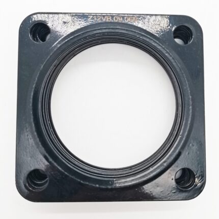 Customized Ring Gasket