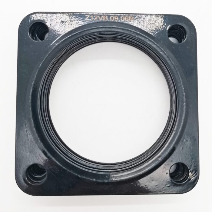 Customized Ring Gasket