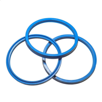 Oil Seal for Food