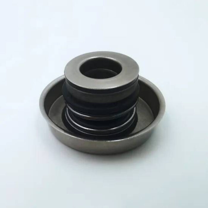 Rotating Silicone Carbide Seal