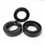 Hydraulic Rotary Shaft Oil Seal