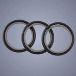 Double Acting Rubber Seal