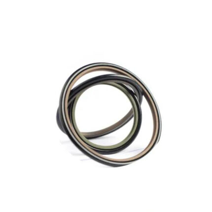 Seals for Piston Rods