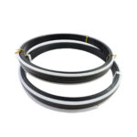 Cylinder Double Piston Seal