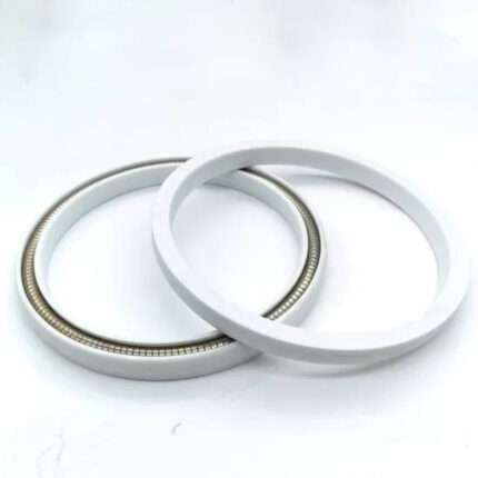 Customized PTFE Oil Seals