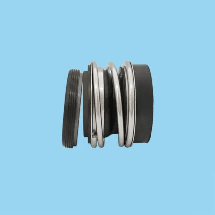 Bergmann Pump Mechanical Seal