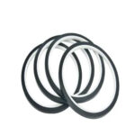 PTFE Rubber Seals